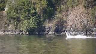 preview picture of video 'Most amazing Visit Lake Como Italy video shot today in Argengo of a Water Jet'