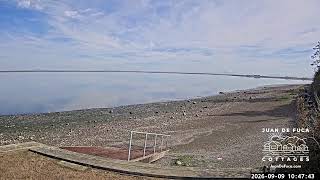 🌊 LIVE EAST Dungeness Bay Webcam from Juan de Fuca Cottages | Sequim WA Coastal Views 🦅🐟 live webcam