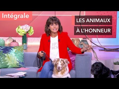 Mon animal, ma plus belle rencontre ! - Ça commence aujourd'hui