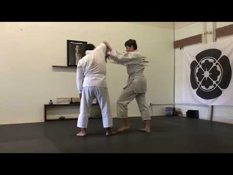 Aikido 3kyu Test