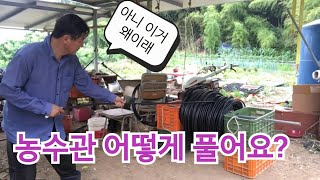 [관수시설작업] 점적호수설치 / 농수관 풀기 정말 어렵네요. 여러분은 어떻게 하세요?