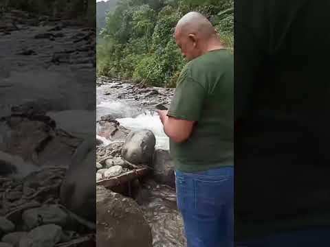 Hectáreas en venta chaco napo sector linares barrio cedrales con camino  llama se dueño 0967210480