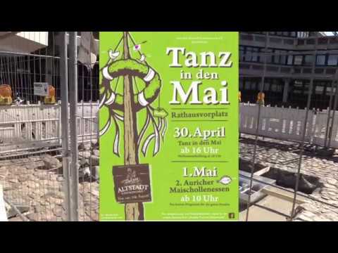 Auricher Maibaum 2019