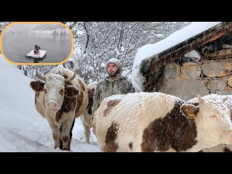 Dağ Köyünde Yoğun Kar Yağışı Altında Tek Başına Mücadele❄️❄️A Real Struggle Under Heavy Snowfall❄️