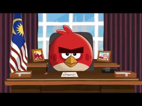 Angry Birds: Interception Message