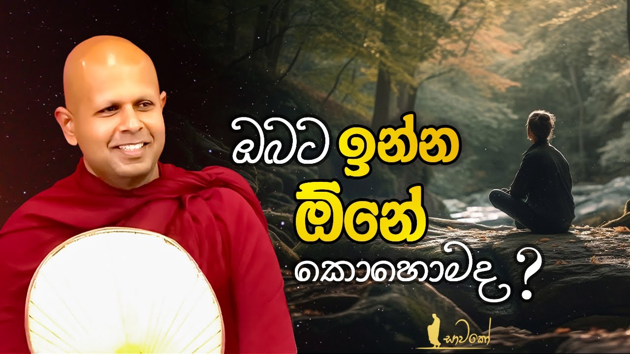 ඔබට ඉන්න ඕනේ කොහොමද?