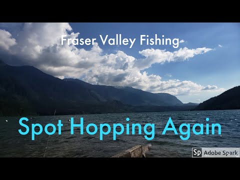 Fraser Valley Fishing-- Spot Hopping Again