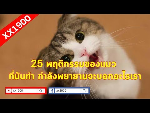 Aven โรคผิวหนังภูมิแพ้ ที่คุณสามารถซื้อ akrustal