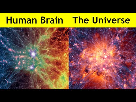 Human Brain vs The Universe!