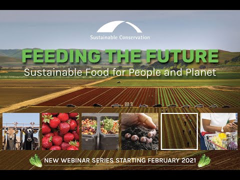 Feeding the Future: Sustainable Food for People and Planet