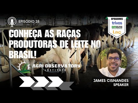 Conheça as Raças Produtoras de Leite no Brasil!