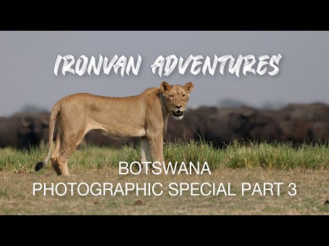 Botswana Magic! Ep 3 Mababe Depression - "Ironvan" Adventures with Ironman 4x4