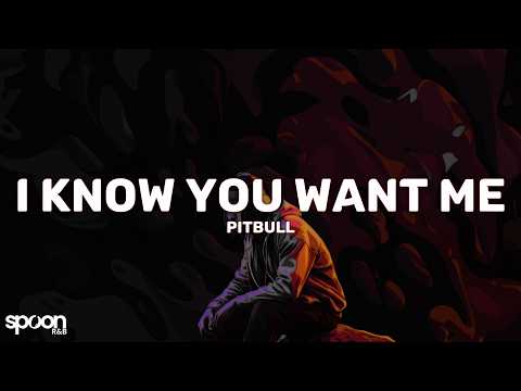 Pitbull - I Know You Want Me (Calle Ocho) (Lyrics)