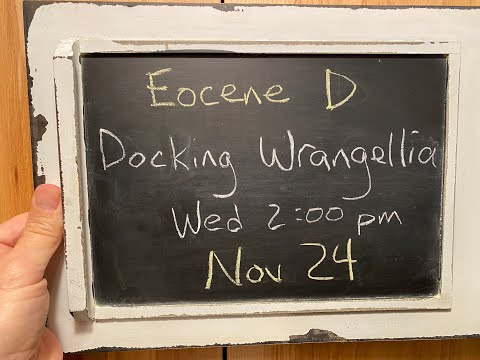 Eocene D - Docking Wrangellia w/ Basil Tikoff