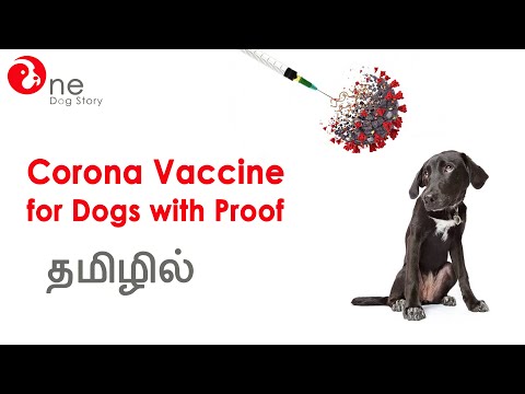 Corona Vaccine For Dogs In Tamil | Vaccination For Dogs in Tamil | Dog Vaccination Schedule Tamil