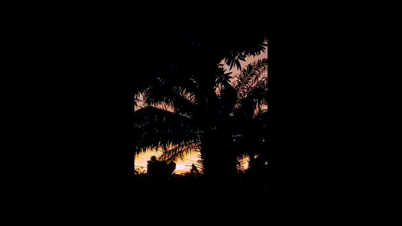 Baskiat - Akita (Audio)
