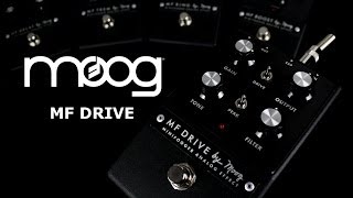 Moog Minifooger Drive