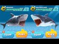 MEGALODON vs GREAT WHITE SHARK! Hungry Shark Evolution