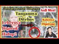 Download Lagu Viral!!! Bocah Di Mutilasi Hidup-Hidup Kronologis Kasus Mp3 Free