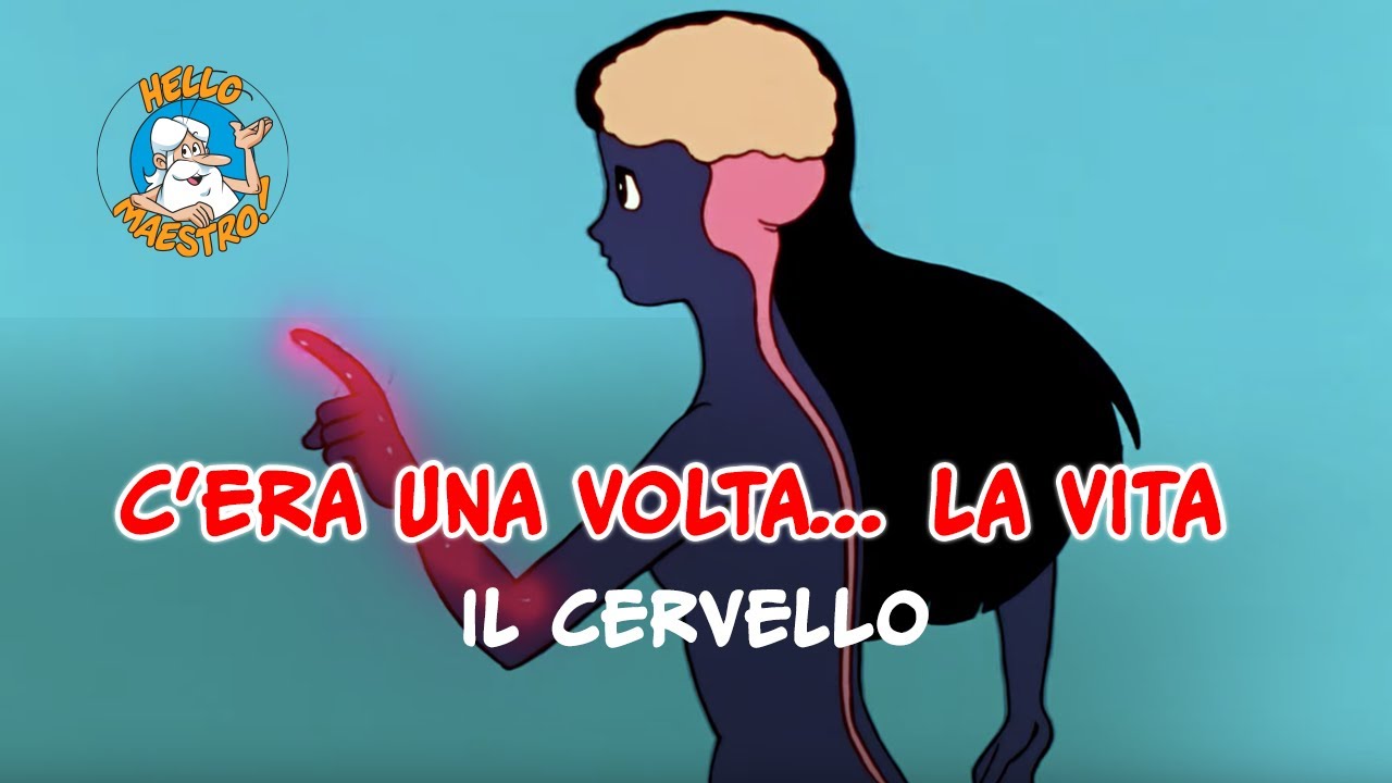 Siamo fatti così🌱 il cervello 🧠