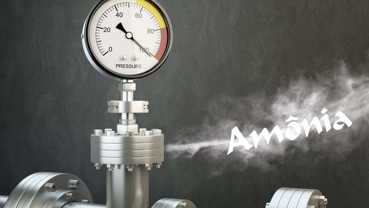 O Perigo da Exposição a Amônia e as Roupas de Proteção