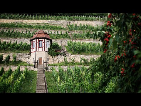 Explore Wines of Germany: Saale Unstrut