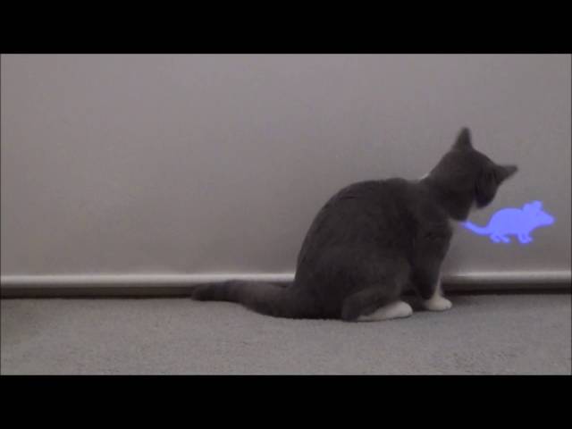 運動不足解消にLEDポインター マウス