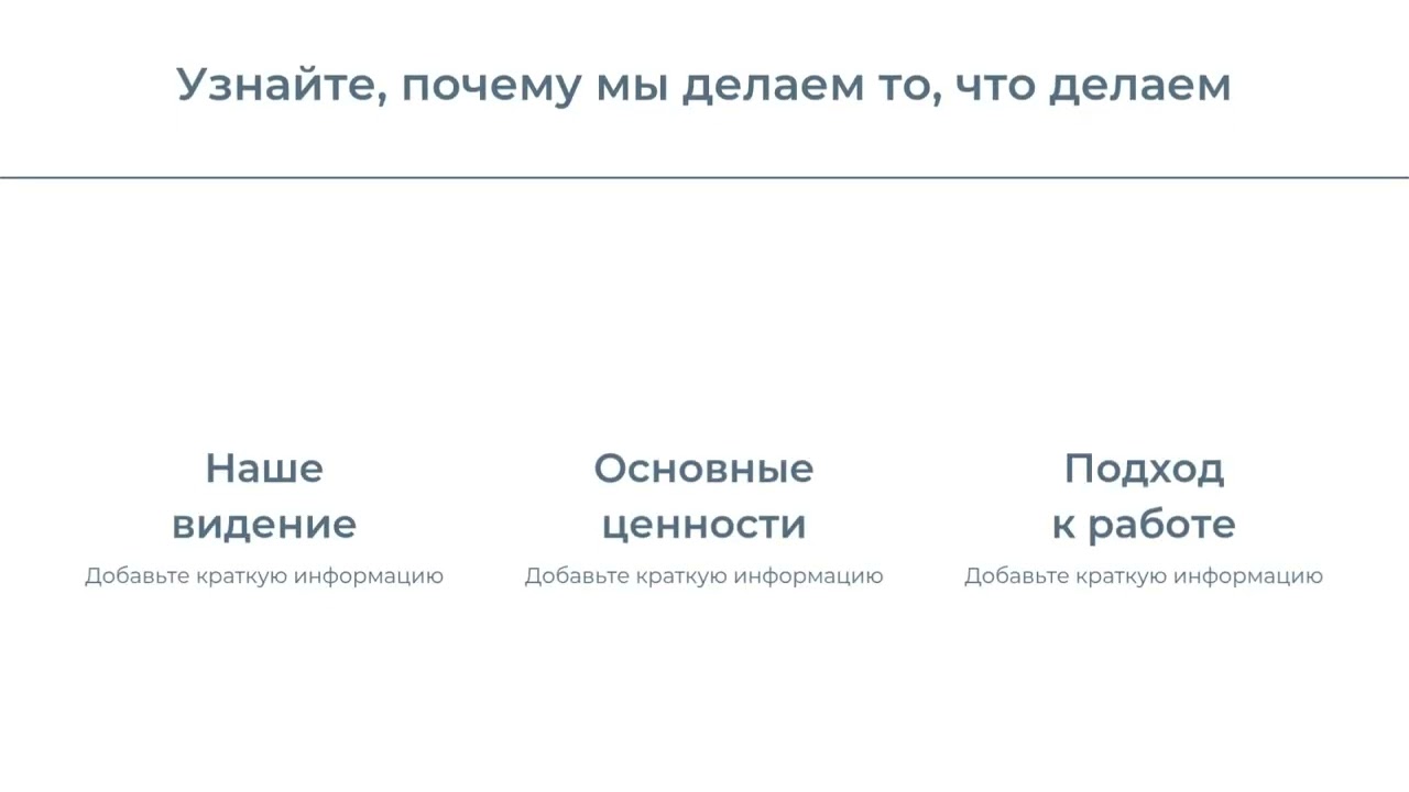 Vector Company welcomes new employees