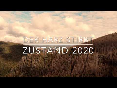 Der Harz stirbt - Zustand 2020