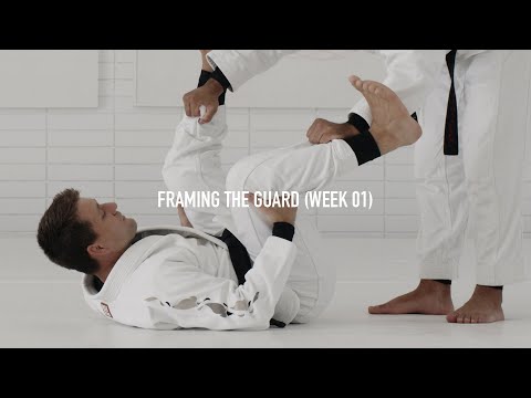 Curriculum: Framing the Guard (Rafael Mendes) | AOJ+