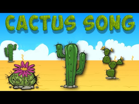 Cactus Song: Never Hug the Cactus!