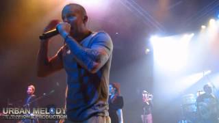 Calle 13 -  Fiesta De Locos (En Vivo) - Urban Melody TV