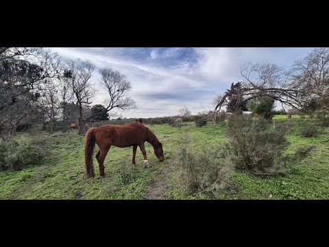 7,5 has en Estación Migues, Departamento de Canelones, Uruguay