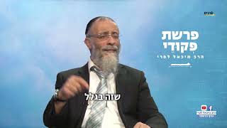 הרב מיכאל לסרי 📖 מסר לפרשת פקודי – הכל בגלל היהודים (הרב מיכאל לסרי) - התמונה מוצגת ישירות מתוך אתר האינטרנט יוטיוב. זכויות היוצרים בתמונה שייכות ליוצרה. קישור קרדיט למקור התוכן נמצא בתוך דף הסרטון