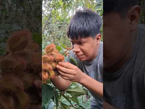 Lo asustaron por no hacer caso