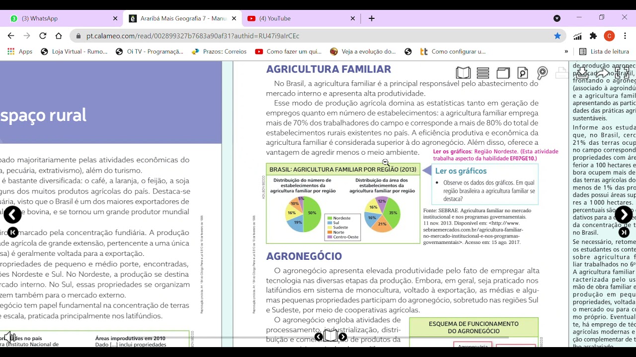 Araribá Mais Geografia 7   - ESPAÇO RURAL