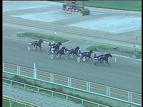 Trotto 20/10/2017 - prova di qualifica