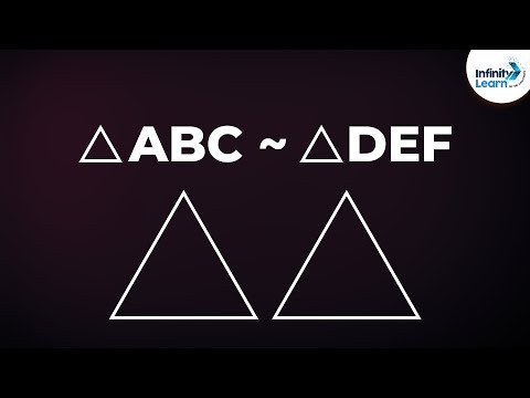When are Two Triangles Similar? | Don't Memorise