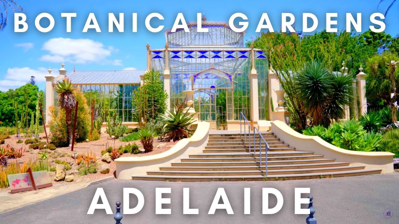 A traveler visits Adelaide Botanic Garden, offering a simple, unfiltered look at what it’s like.