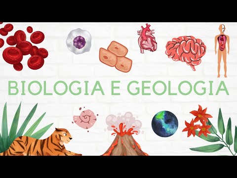 #15 Geologia 11º ano - Formação de Rochas Sedimentares 🌎