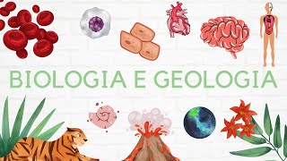 #15 Geologia 11º ano - Formação de Rochas Sedimentares 🌎