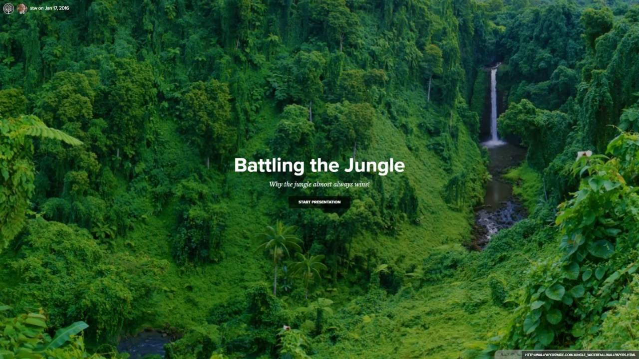 Battling the Jungle - YouTube