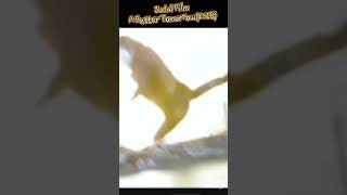 Warung Cerita Film Dengan Judul Better Tomorrow(2018)#kdrama #alurfilm #film