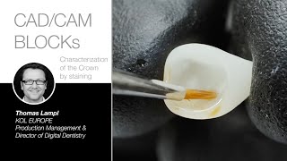 edelweiss CAD/CAM BLOCKs – Characterization of the Crown by staining