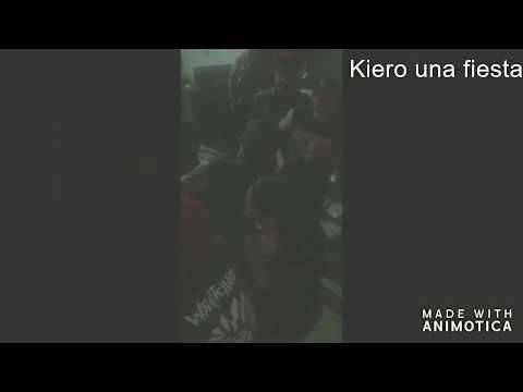 Kiero una fiesta punky