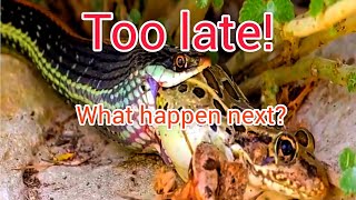 If the snake knew what was coming.