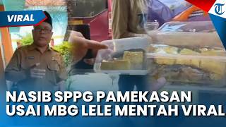 Viral MBG Isi Lele Hidup, Kepala BGN Hentikan Sementara Operasional SPPG di Pamekasan