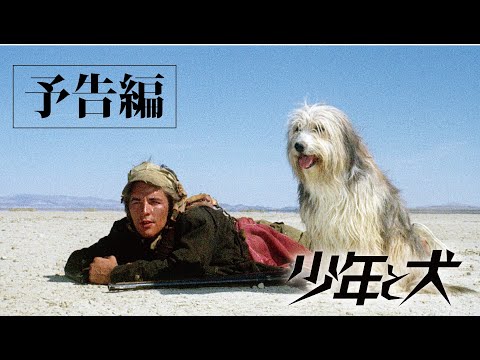 映画『少年と犬』予告編