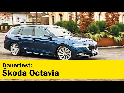 Skoda Octavia Combi - Long-term test report | ÖAMTC auto touring