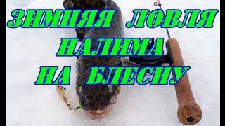 Блесна для ловли налима